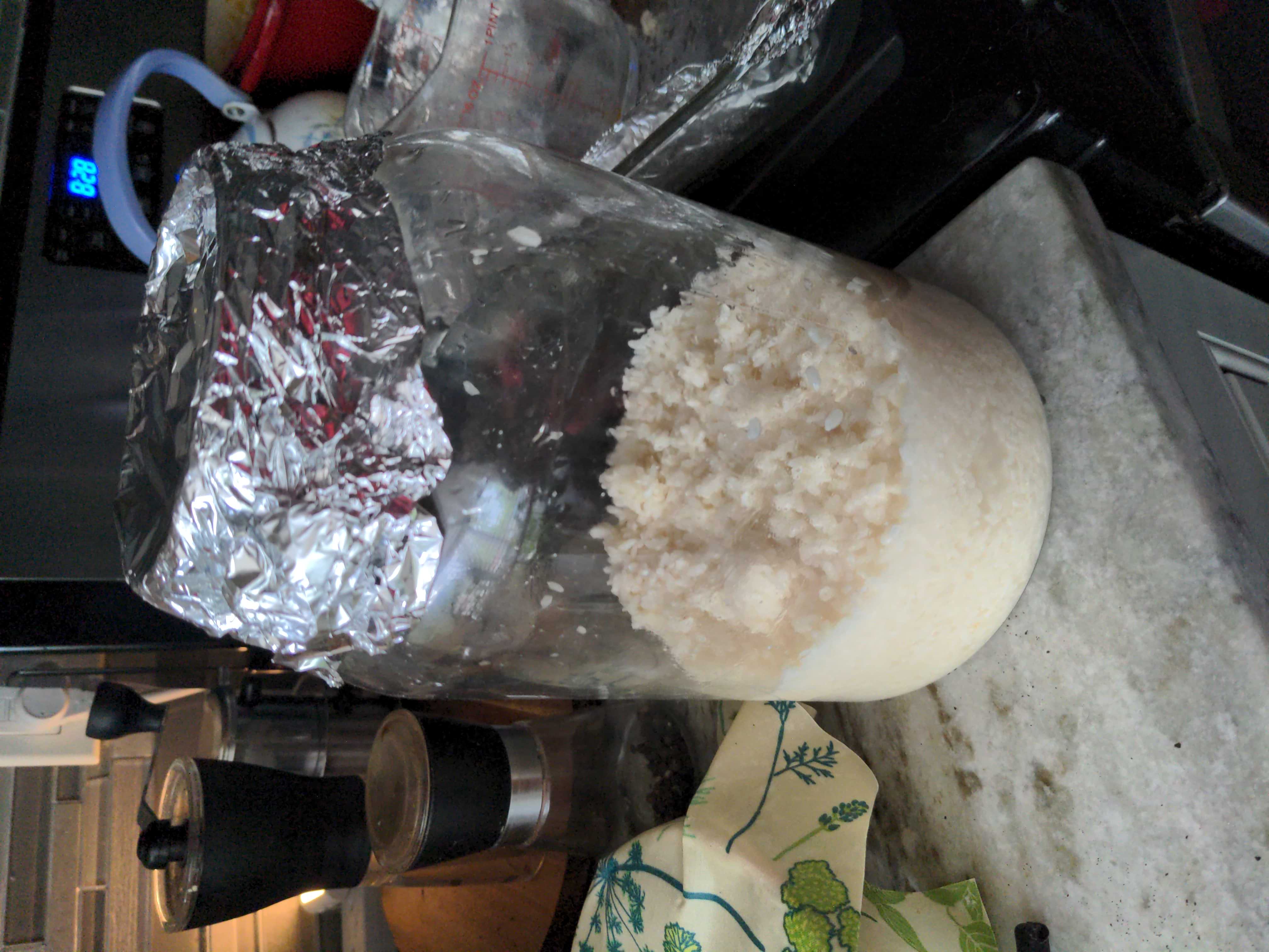 A large glass jar with rice that's already been fermented and ready to filter.