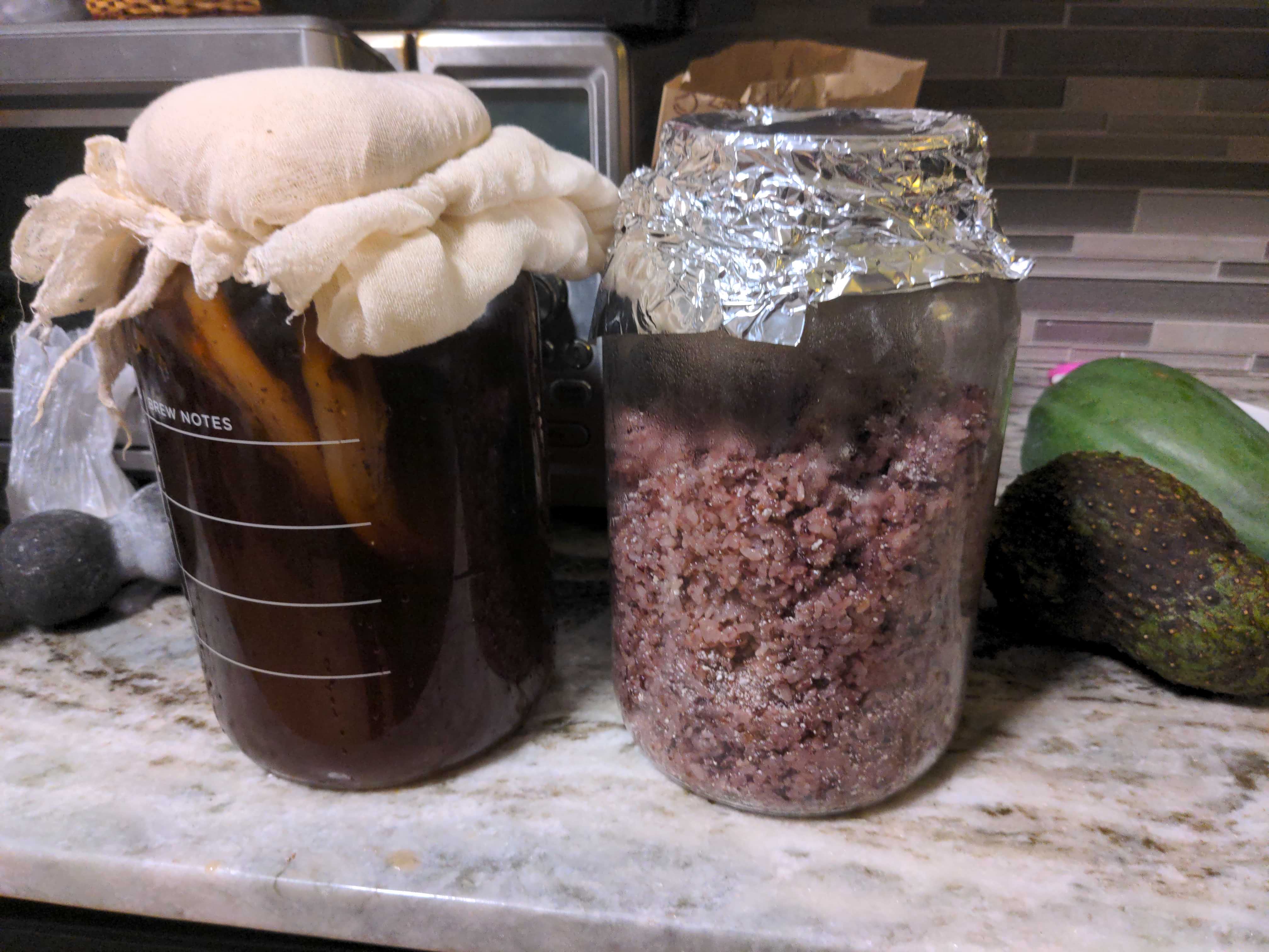 A glass jar filled with brown rice sitting on the counter and waiting for the rice to ferment into rice wine. Beside it is a jar of kombucha as well that's being fermented.