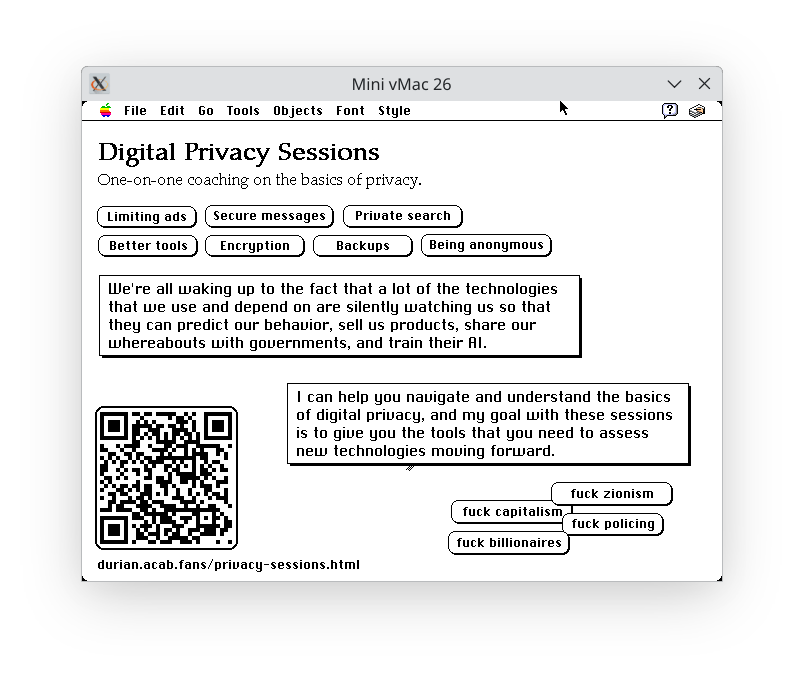 A screenshot of a poster that I made that shows my digital privacy services.